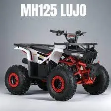 CUATRIMOTO MH 125 LUJO