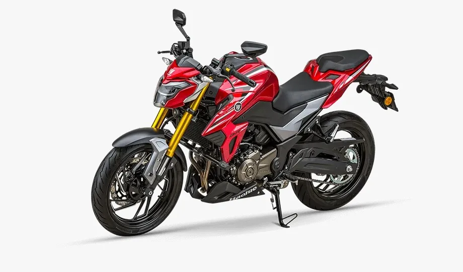 DR 300CC